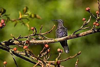 3DM速报：暗黑&守望&使命召唤将加入XGP，I社新作1060能一战否？